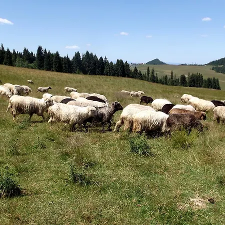 アパート Uroki Spisza