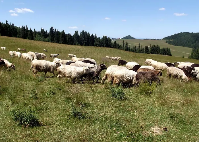 Apartment Uroki Spisza