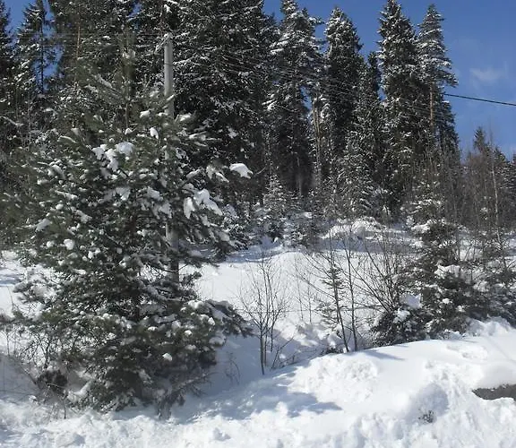 Apartment Uroki Spisza *